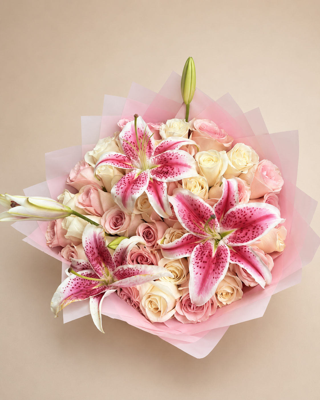 Lily Dreams